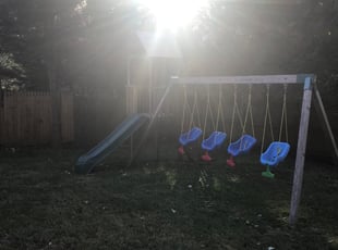Leaf Removal by Kamonta Hackey for Zeshan N. in Takoma Park, MD