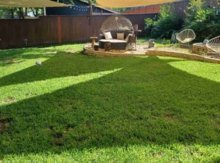 Jasua G.'s Lawn Mowing Service service result