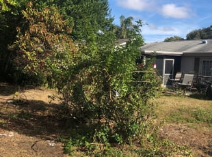 Cleanups by Melanie Ruggiano-Gallo for Ashley M. in Hudson, FL