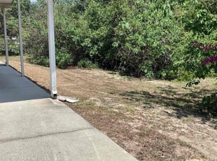 Bush Trimming by Ozzie Barnes for Lee F. in Fruitland Park, FL