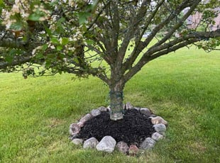 Mulching by Kevin Bordis for Riona E. in Crown Point, IN