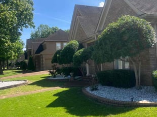 Bush Trimming by James Franks for Ken J. in Collierville, TN