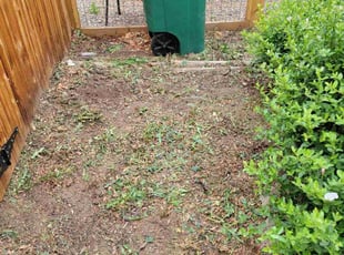Cleanups by Kevin Johnson for Caroline K. in Denver, CO