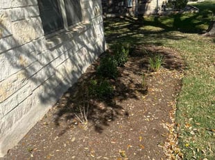 Weeding by Franklin Garcia for Sanchit S. in Leander, TX