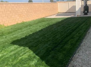 Vernon H.'s Lawn Mowing service result