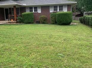 Bush Trimming by Octavius Croston for Mitchell S. in North Little Rock, AR
