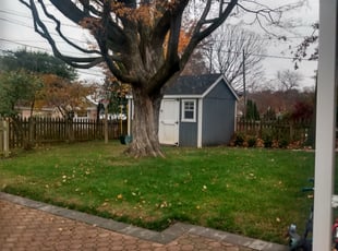 Leaf Removal by Bernard Frampton for Taxiarchis B. in Towson, MD