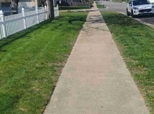 Jacqueline M.'s Grass Cutting service result