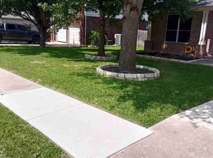 Shuo Y.'s Lawn Mowing Service service result