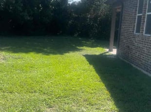 Noel P.'s Lawn Service service result