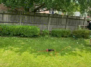 Bush Trimming by Justin Tellez for Gale A. in Cincinnati, OH