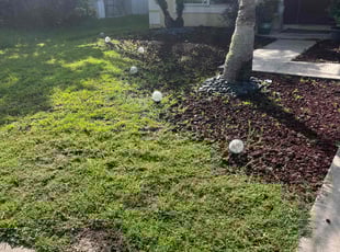 Weeding by Jessica Springer for Alisha N. in Tampa, FL