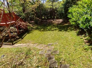 Carolyn S.'s Grass Cutting service result