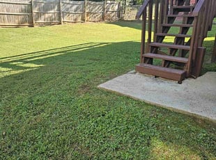Bush Trimming by larry moody for Manuel N. in Lithonia, GA