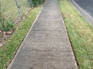 Leaf Removal by Turd Ferguson for Kathie B. in Austin, TX