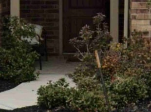 Weeding by Efrain Perez for Howard D. in Richmond, TX