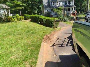Bush Trimming by Walter Taylor for Shef I. in Midlothian, VA