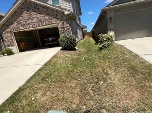 Bush Trimming by nancy reyes for Jagadeesh V. in Pflugerville, TX
