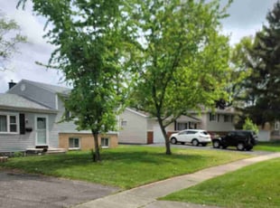 Danielle D.'s Yard Cutting service result