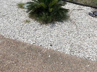 Weeding by Heriberto Lopez for Mike L. in Corpus Christi, TX