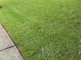 Delanda C.'s Lawn Service service result