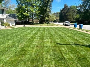 Matthew D.'s Lawn Mowing Service service result