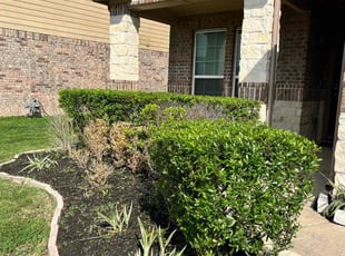 Bush Trimming by Edwin Fernandez for Mark W. in Katy, TX