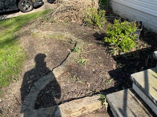 Leaf Removal by David Knowlton Jr for Cheyenne M. in South Euclid, OH