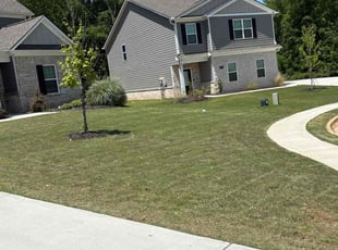 Lori S.'s Grass Cutting service result