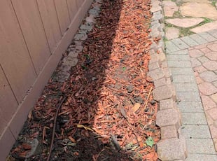 Weeding by Eduardo Santoyo for Kevin B. in Houston, TX