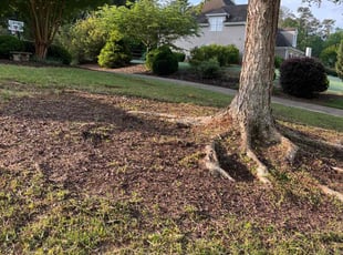 Weeding by C.J. Cooley for Princess C. in Kennesaw, GA