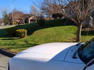 Leaf Removal by David Puerner for Chris K. in Throop, PA