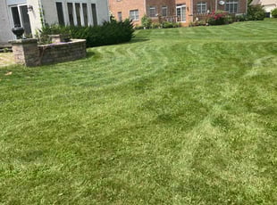 Clarence W.'s Lawn Mowing service result