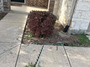 Bush Trimming by Patrick Stewart for Olayemi S. in Prosper, TX