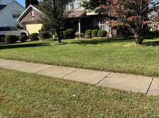 Ann A.'s Yard Cutting service result