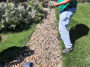 Weeding by Mario Gonzales for Izzie B. in Denver, CO