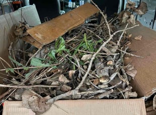 Cleanups by Dustin Rucker for Vicky H. in Haslet, TX