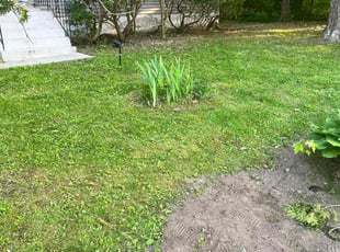 Bush Trimming by Kevin Chapman for LaCheya E. in Bloomfield, CT