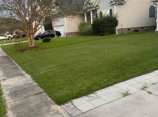 Charlotte C.'s Lawn Mowing service result