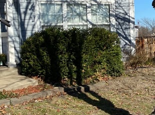 Bush Trimming by James Skivers for Nathan F. in Lee's Summit, MO