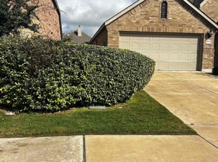 Bush Trimming by Noah Fiechtner for Sylvia H. in Hutto, TX