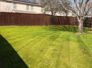 Meghan L.'s Lawn Maintenance service result