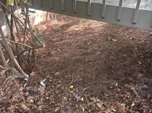 Leaf Removal by Chrishun Webber for Willie T. in Marietta, GA