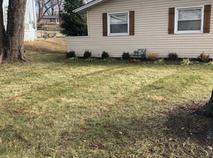 Leaf Removal by Ryan Black for Lauren R. in Kansas City, MO
