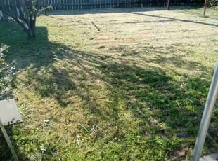 Leaf Removal by Jeremy Partaine for Amy C. in Memphis, TN