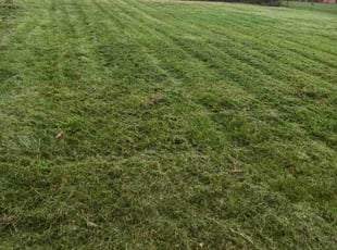 Jordan B.'s Lawn Service service result