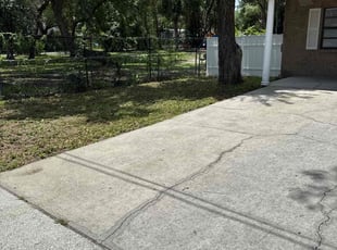 Leaf Removal by Dwaylon Peterson for Eliza M. in Tampa, FL