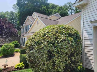 Bush Trimming by Isaiah Cuthbertson for Jason D. in Charlotte, NC