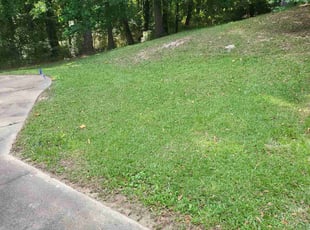Alexis A.'s Lawn Maintenance service result