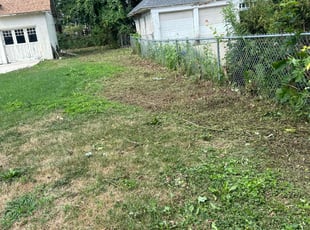 Cleanups by Aileen Sanchez for Robert G. in Aurora, IL